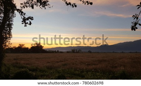 A beautiful view of sunset field in a countryside in Thailand. Summer 2017.