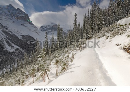 Snow landscape scenery in Banff National Park, Lake Louise, Canada