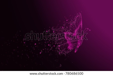 Butterfly abstract isolated on purple background. For web site, poster, placard and wallpaper. Useful for cover and flyer. Creative art, modern abstract concept
