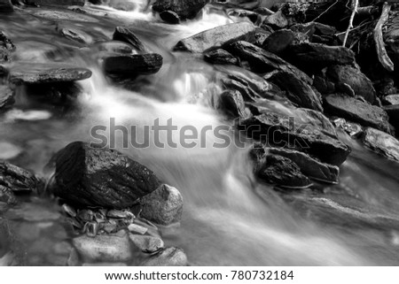 Black and White Slow Shutter Speed Photography of a Small River with Moss Covered Rocks in the Deep Woods.