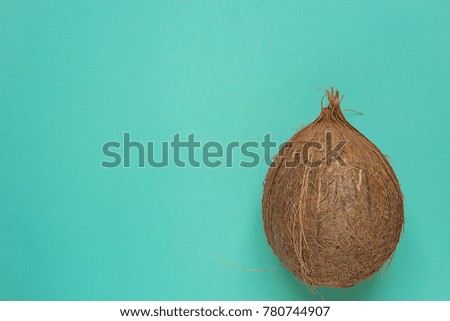 Whole Ripe Coconut on Turquoise Light Green Background. Corner Position. Template for Poster Flyer. Tropical Vacation Wellness Spa. Beach Party. Healthy Oil Bodycare Skin Beauty Summer. Copy Space