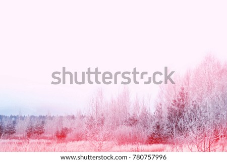 Blur. Frozen winter forest with snow covered trees.