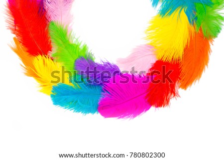 Poster for the Brazilian carnival. A circle, a wreath of feathers. White background. Isolated.