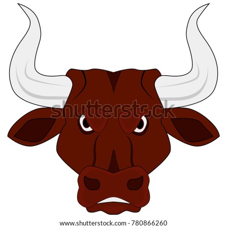 the muzzle is brown bull