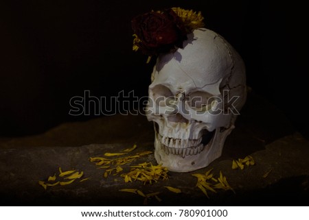 Skull and flower in black background