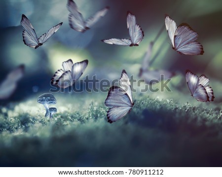 Huge butterflies and the little glowing mushrooms in the woods. The picture on the subject of fantasy
