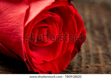 A single red rose on a rough wooden table