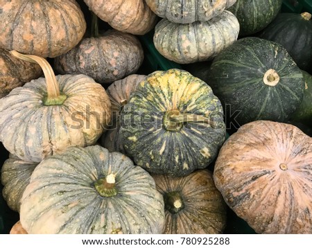  pumpkin for background