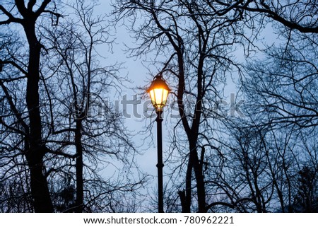 street lamp in winter park