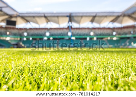 Green grass at modern stadium during sunny day.