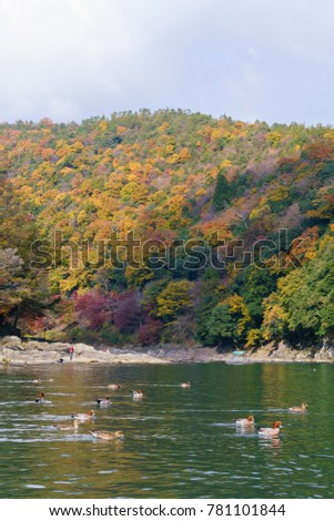 Hozu river (Arashiyama Japan)