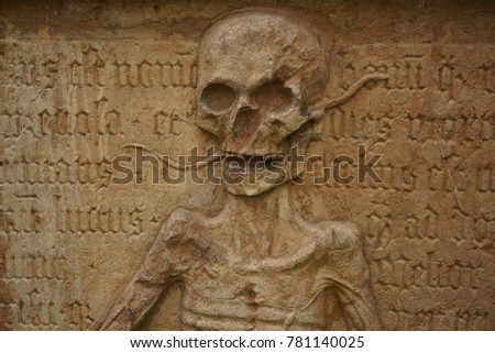 human skull with snake in stone texture. death as depicted in a medieval grave marker in an old European cemetery. Salzburg, Austria