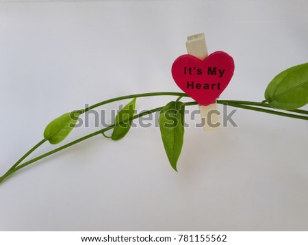 Love heart clamp on green leaf. White  background.Copy space.Heart of love .Happy valentine's day,wedding,dating,engagement,birthday,congratulation,romantic events.Sweet theme.Love the nature concept.