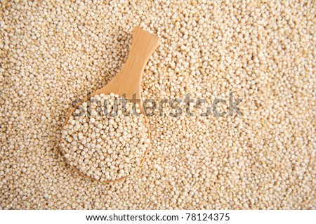 Whole Grain Quinoa Cereal Source of Complete Amino Acids