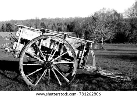 Antique cart used to transport persons and grain. Wheat, corn, barley, grass... Black and white picture.
