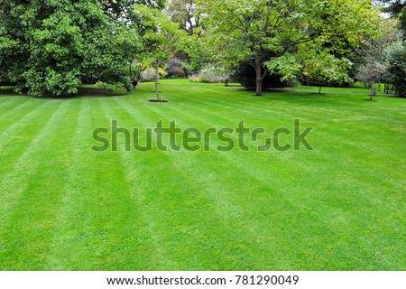 Scenic View of a Beautiful English Style Garden with a Large Open Green Grass Lawn Royalty-Free Stock Photo #781290049
