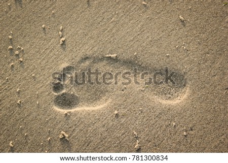 sand footprint on the beach Royalty-Free Stock Photo #781300834
