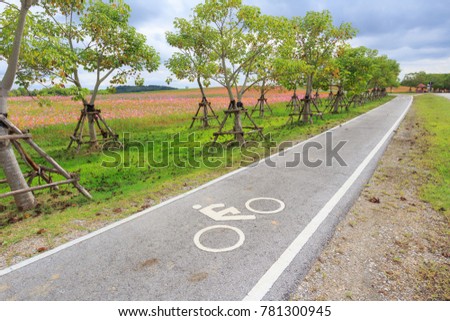 The Bicycle or Bike Sign on The Road with Tree, Meadow and Cloud Blue Sky. Copy Space for Text.