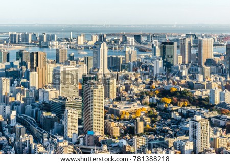 Asia Business concept for real estate and corporate construction - panoramic modern city skyline bird eye aerial view under bright golden sun and vivid twilight sky in Roppongi Hill, Tokyo, Japan