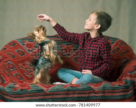 Toned image of a little girl in a plaid shirt and jeans that sits on a sofa and smiles a trained thoroughbred dog