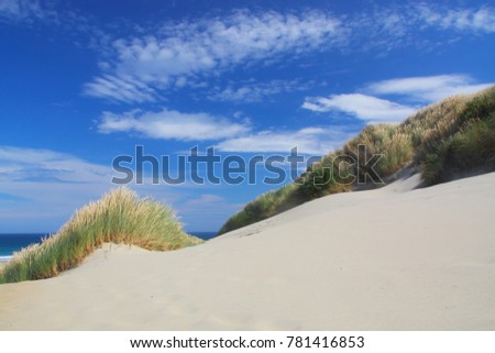 Dunes in the sandfly bay, Dunedin, New Zealand on the south island