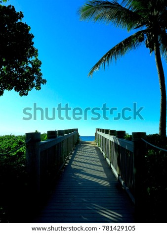 Tropical Beach Boardwalk