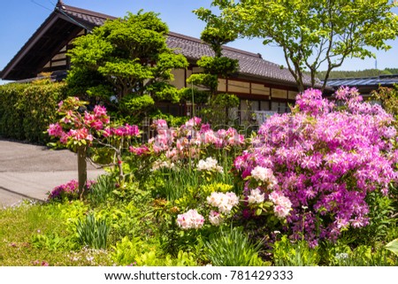 Spring season with beautiful flowers blooming over around at Japan.
