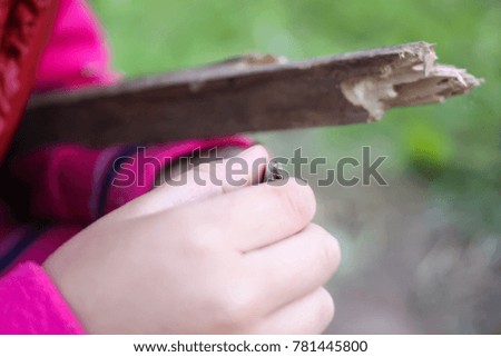 Little lizard in girl's hand