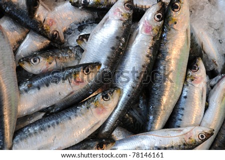 stall of sardines at the fish market of Trouville