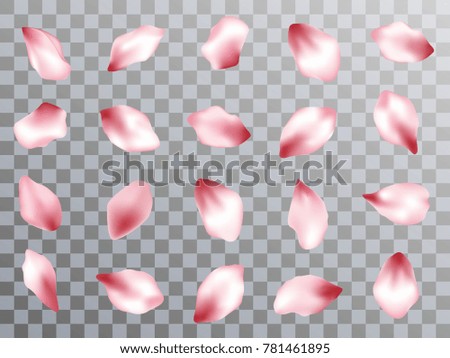 Pink  japanese cherry flower petals isolated on grid transparent background vector set. Spring pink blossom petals. Sakura bloom parts confetti elements collection, flower parts realistic illustration