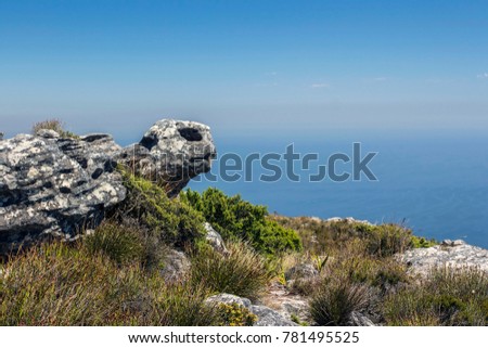 Quaint rock in the form of a turtle against the blue sky. Table Mountain. Cape Town