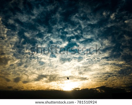 Bird returning to its home during sunset.