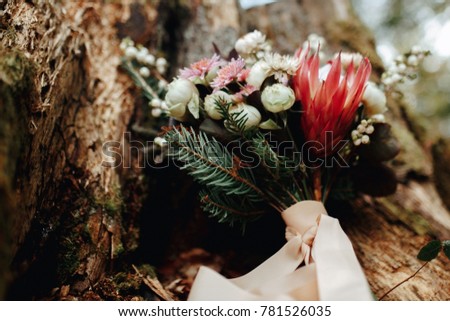 Wedding rustic details. Nice bouquet on the tree bark. Late autumn picture. Background