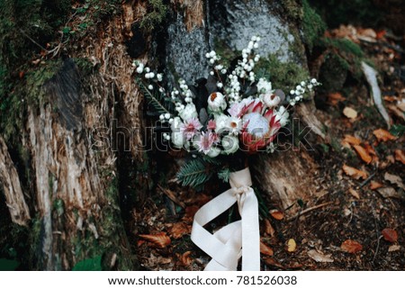 Wedding rustic details. Nice bouquet on the tree bark. Late autumn picture. Background