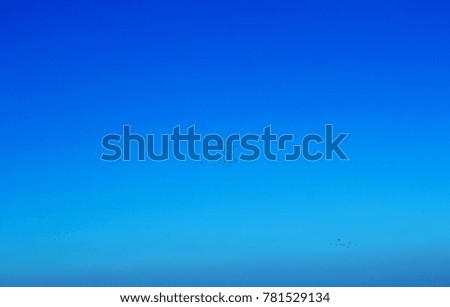 group of freedom birds flying in the blue sky