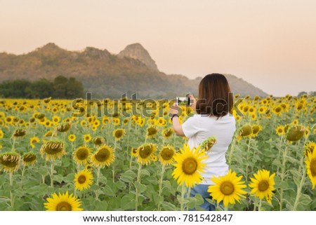 Women take photo Sunflowers