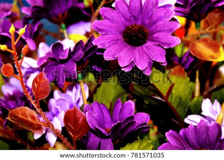 Colorful Flowers Photo