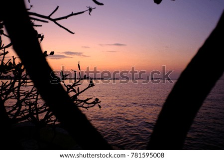 This is a picture of sea sunset which behind tree.It has  violet sky.