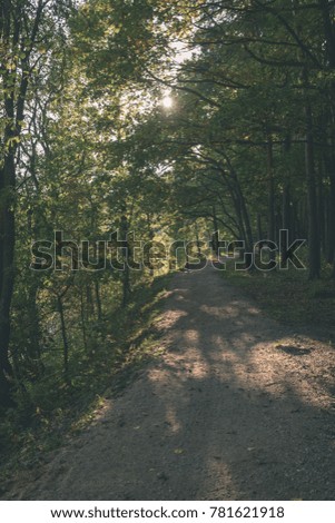 empty road in the countryside with trees in surrounding. perspective in summer. gravel surface in latvia with sun shining behind trees - vintage film look