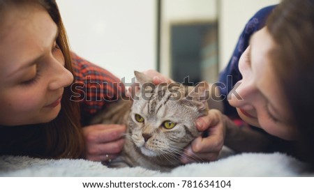 Closeup of two happy women friends lying in bed hug fat angry cat and have fun on bed