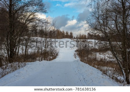 Beautiful snow-covered road in a winter forest with bare trees