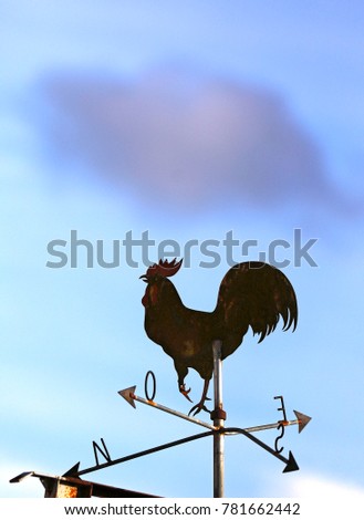 The wind rooster