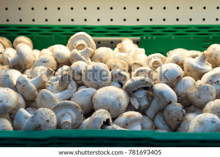 mushrooms champignons in boxes on the market