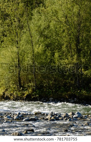 mountain river in summer with stream and high water in forest. Bialka river, Poland