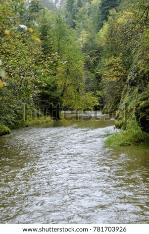 mountain river in summer with stream and high water in forest. slovensky raj. sucha bela trail