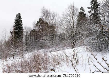 Winter nature landscape
