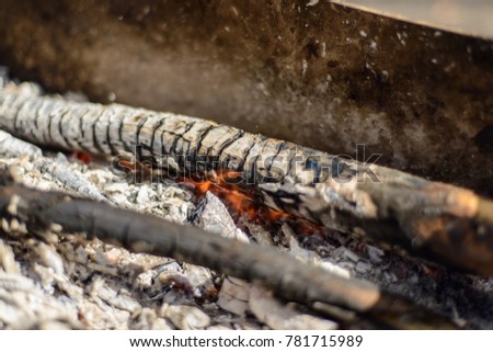 barbecue in the Park, the wood smolder in the grill, the coals are covered with ashes, the flame burns dry wood.