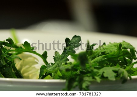 Salad with fresh dandelion leaves, isolated on white
