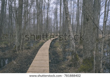 old wooden boardwalk covered with leaves in ancient forest with mossy tree trunks - vintage retro look
