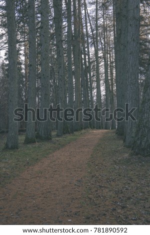 empty road in the countryside with trees in surrounding. perspective in autumn. gravel surface in latvia - vintage film look